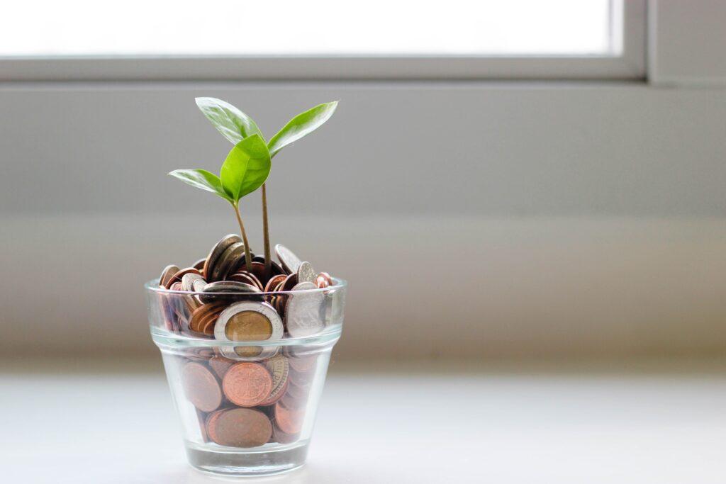 Flower pot filled with coins